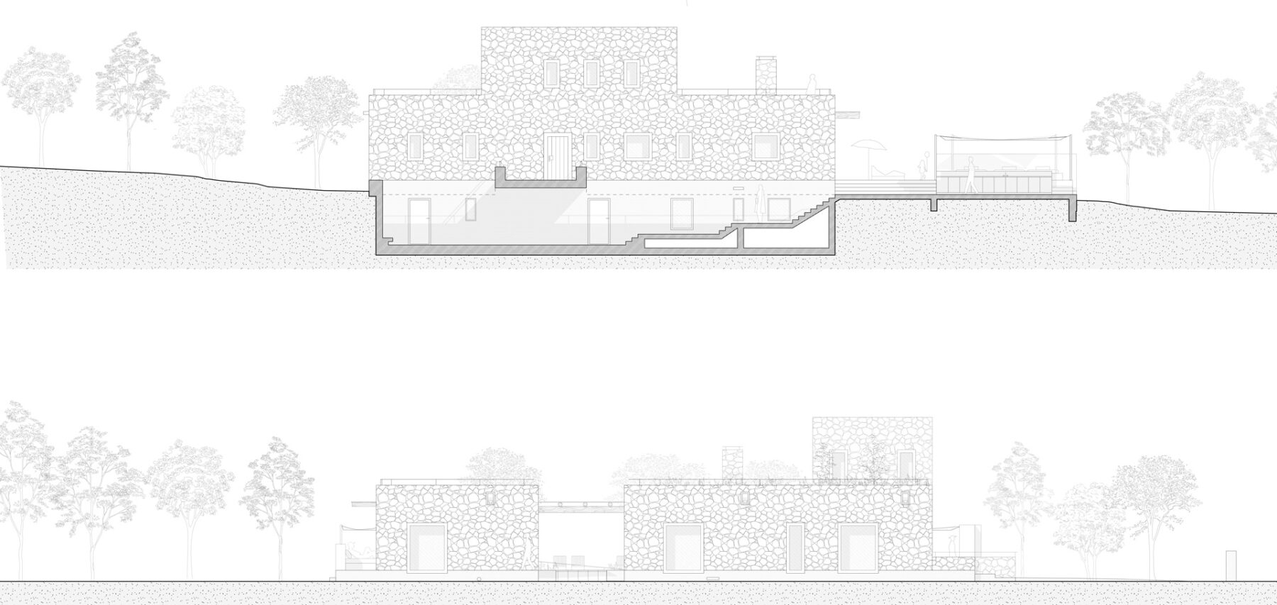 250131-Rikia-Elevations-A,B_Walls-hatched-01_WEB