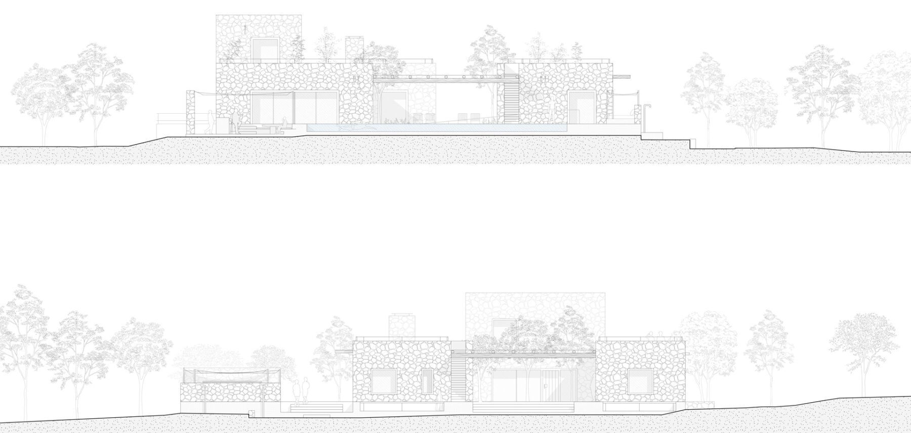 250131-Rikia-Elevations-C,D-01_WEB