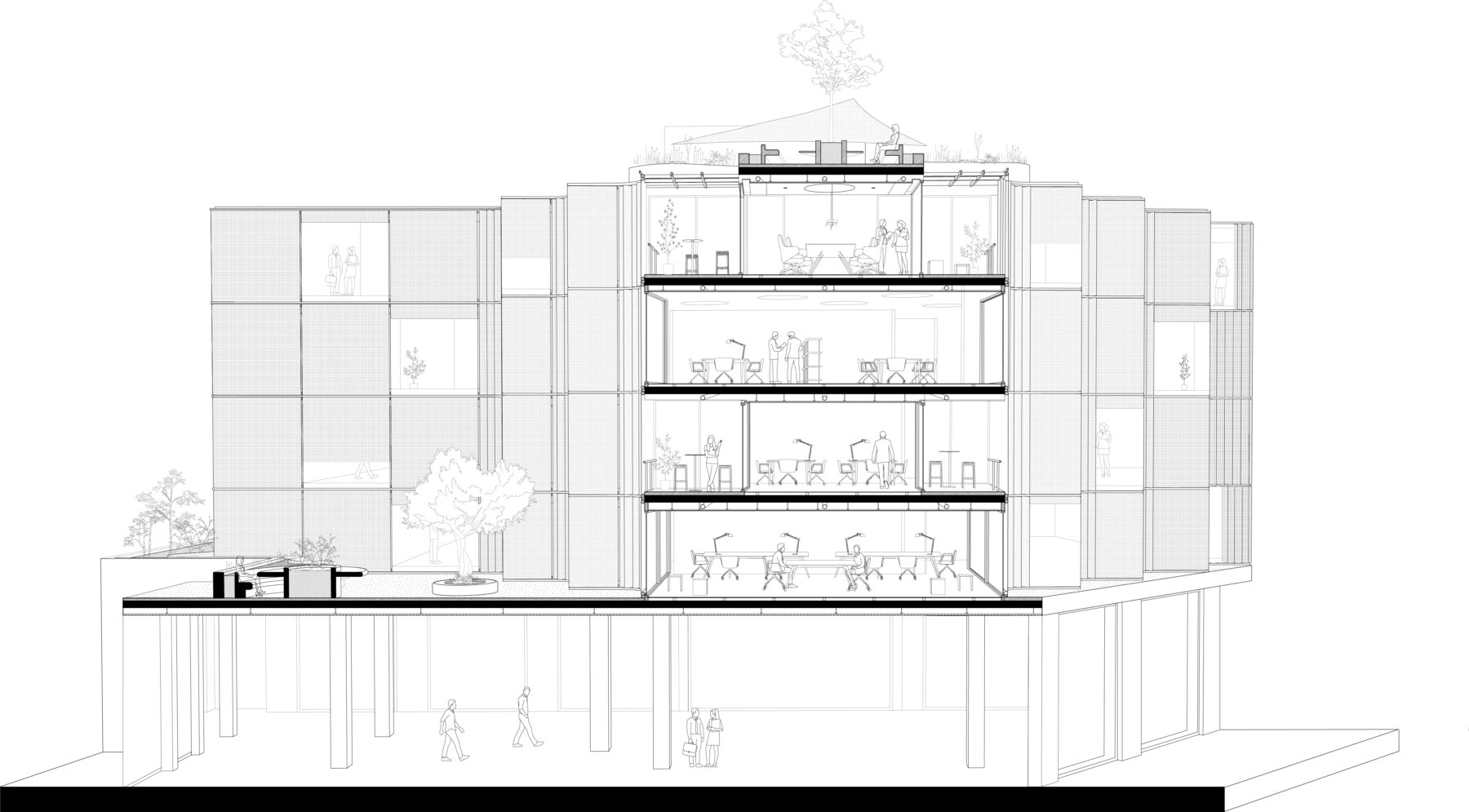 SECTION_PERSPECTIVE_ΟΠΕΝ